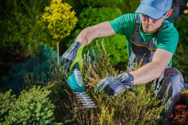 landscaping services Flat Lick